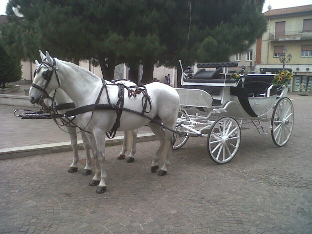 Carrozza bianca interni blu