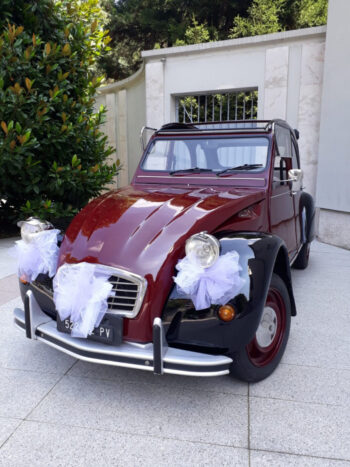 Citroen 2 Cv Charleston