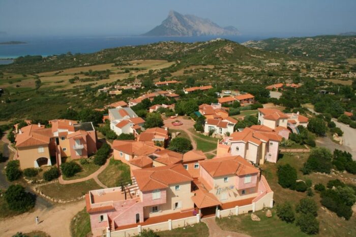 LU NIBAREDDU