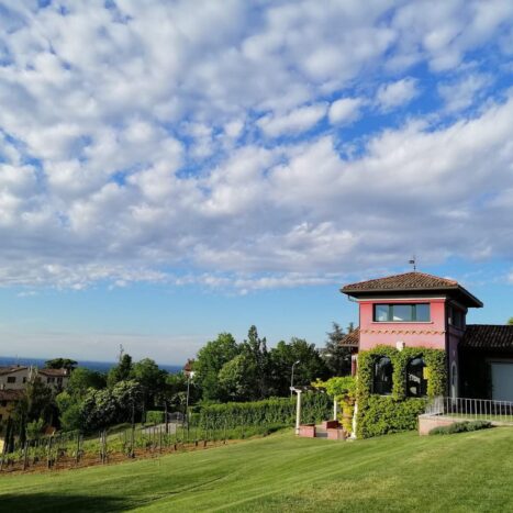 TENUTA LA TASSERA