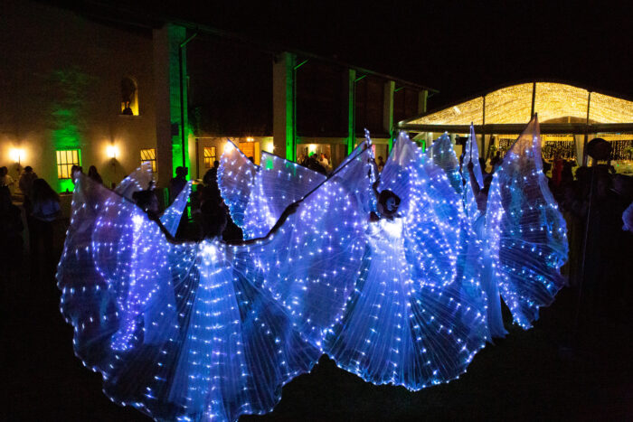 Farfalle Luminose