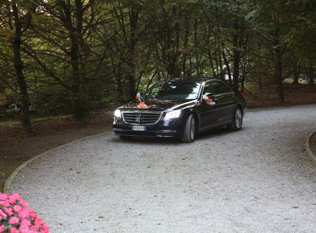 Mercedes S 350d 4M Long