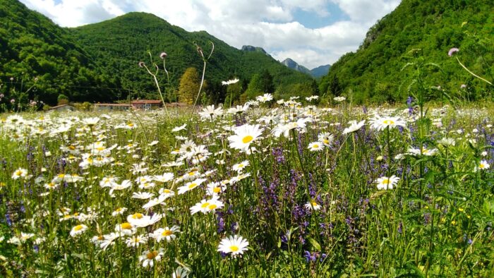 Panoramica della valle