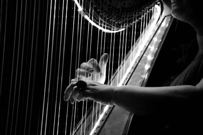 MUSICISTI