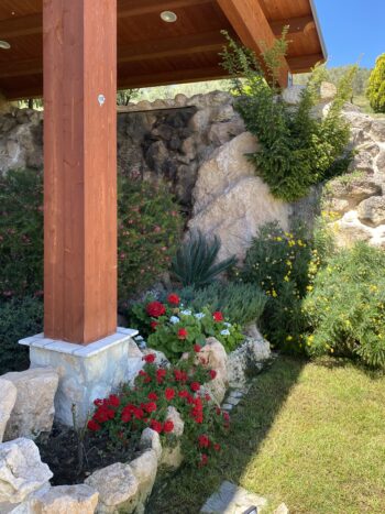 particolari giardino
