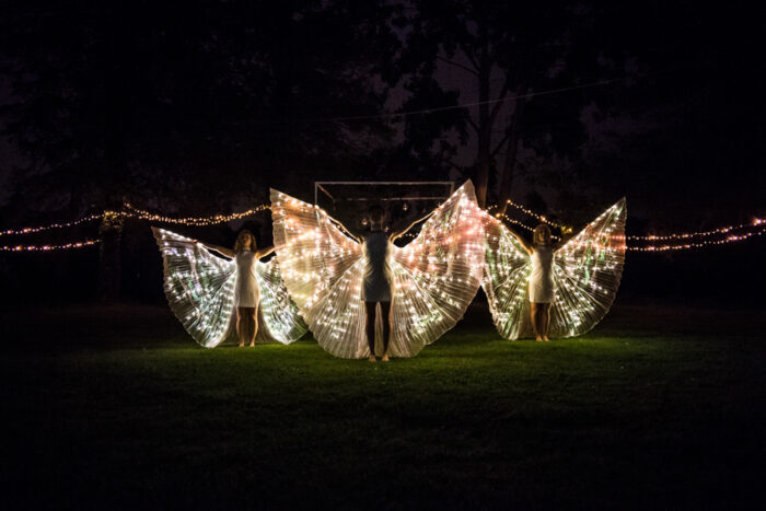 Magic Butterfly