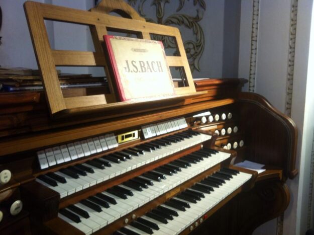 Organo