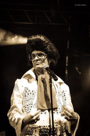 Elvis 