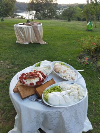 mozzarella di bufala