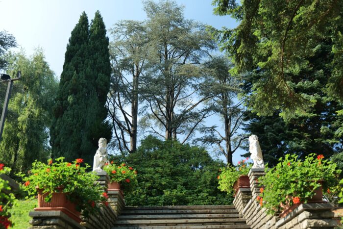 Parco Le Pigne