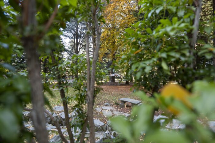 Parco Le Pigne