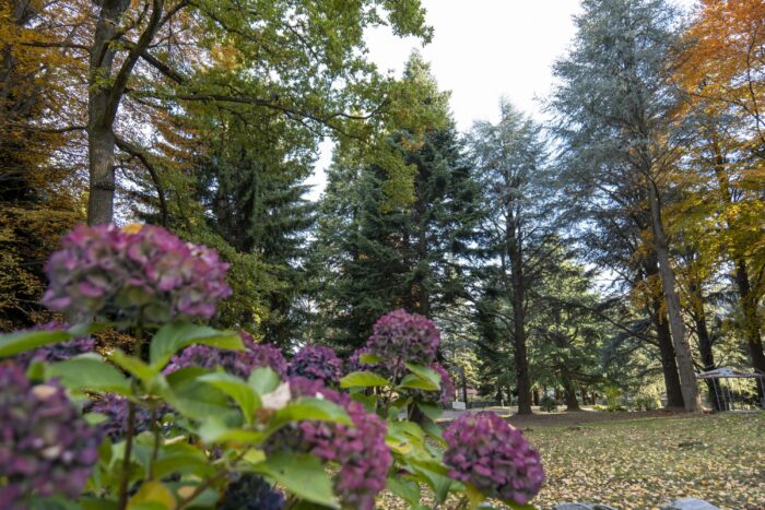 Parco Le Pigne