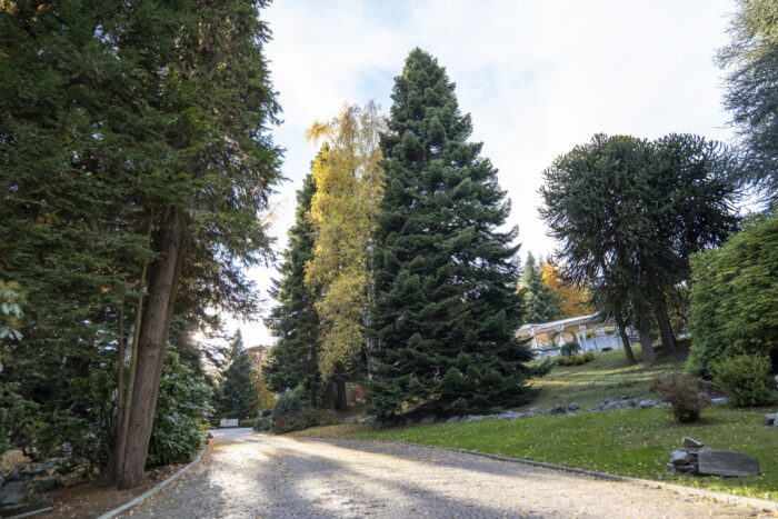 Parco Le Pigne