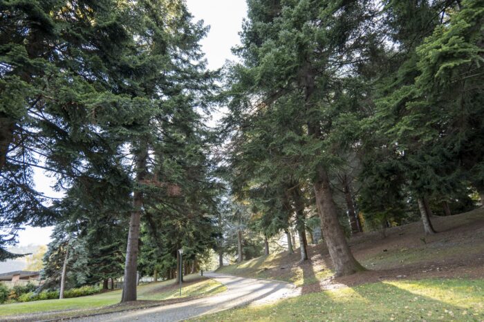 Parco Le Pigne