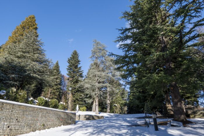 Parco Le Pigne