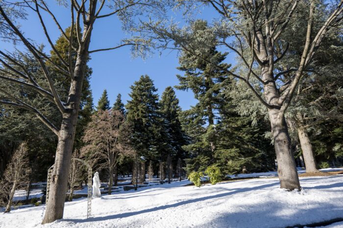 Parco Le Pigne