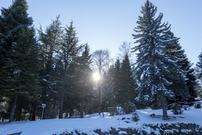 Parco Le Pigne