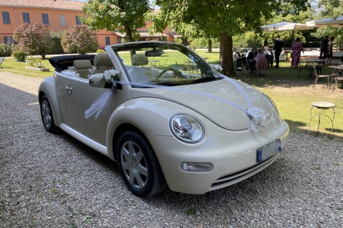 Volkswagen New Beetle cabrio