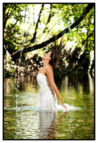 trash the dress
