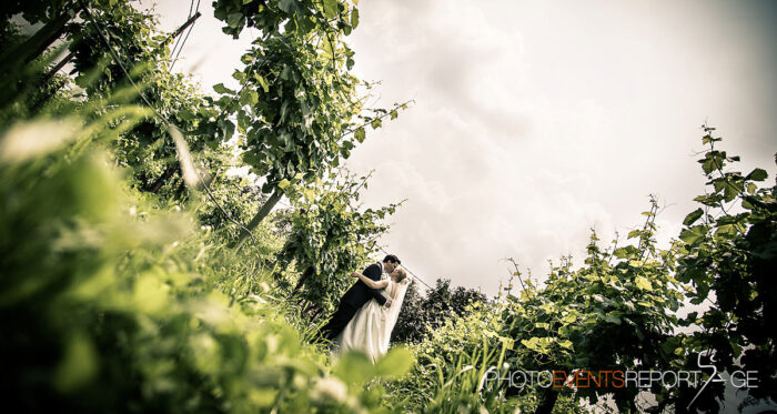 Matrimonio in vigna