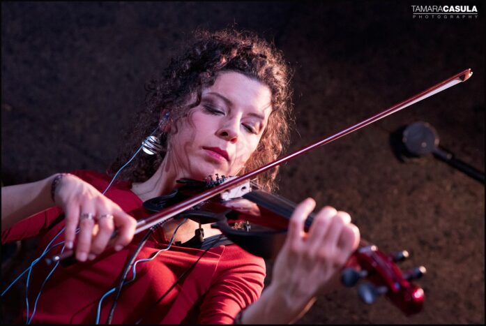 Violin