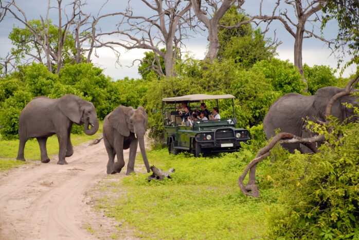 Viaggio di Nozze Africa