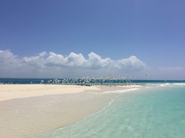 Zanzibar