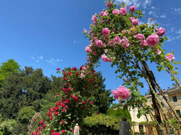 VILLA PISANI