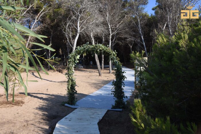 Arco d 'ingresso