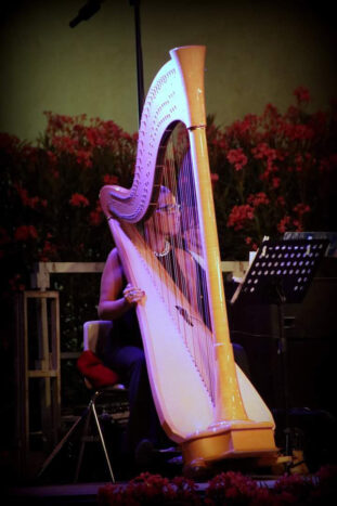 Arpa classica