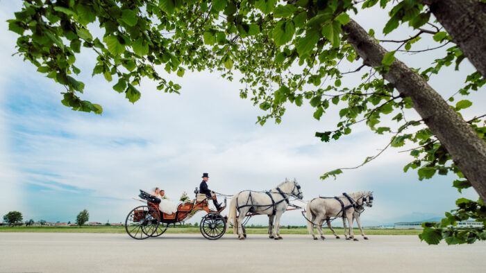 In carrozza