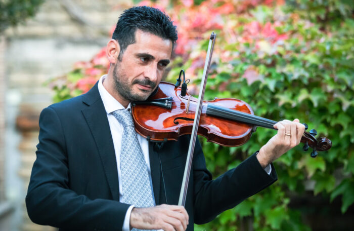 Violino
