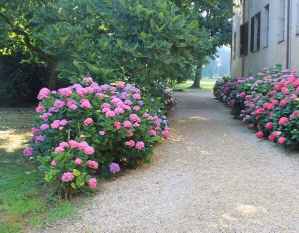 Parco fiorito