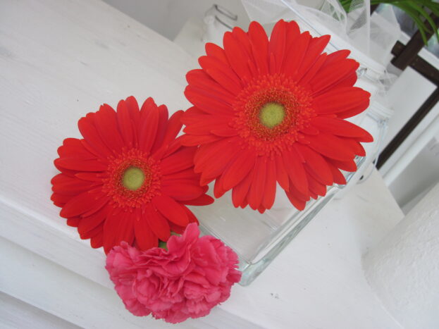 I fiori non devono mancare