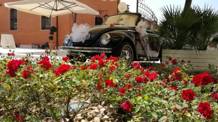 Volkswagen Maggiolone Cabrio
