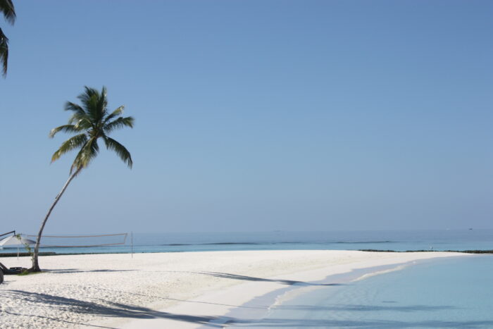 MALDIVE