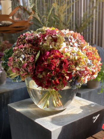 decorazione 