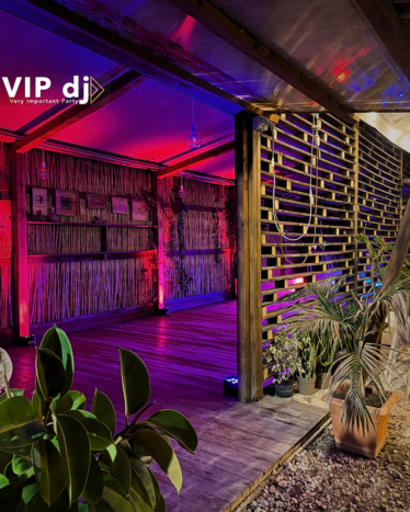 VIP dj - Very Important Party