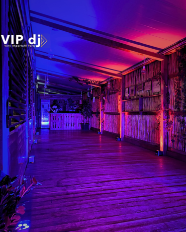 VIP dj - Very Important Party