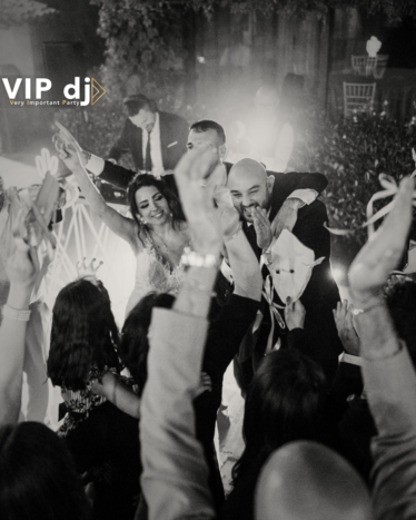 VIP dj - Very Important Party