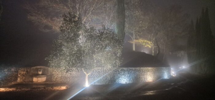 Il parco di notte