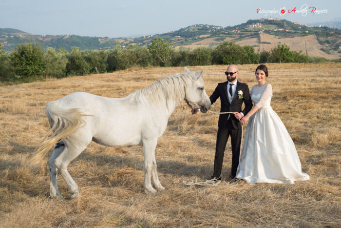 Cavallo