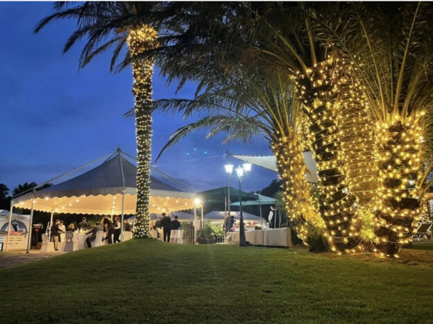 By Night