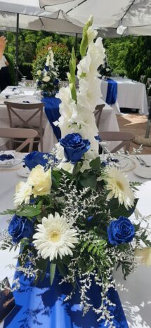 Rose blu