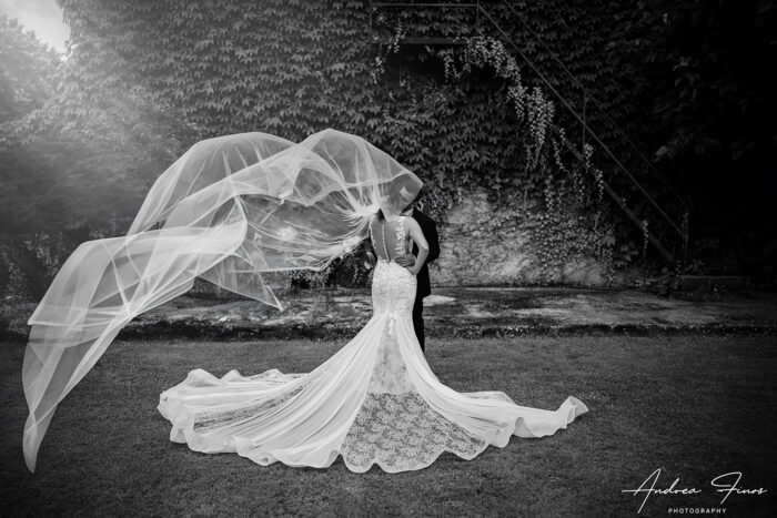 back b/w