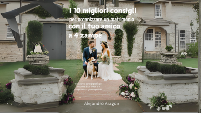Finale 4 zampe annuncio 2
