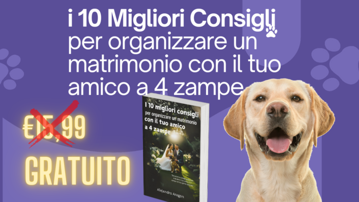 Finale 4 zampe annuncio 12