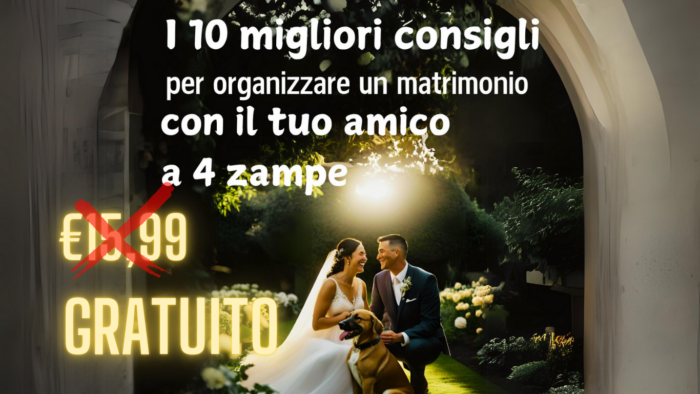 Finale 4 zampe annuncio 11