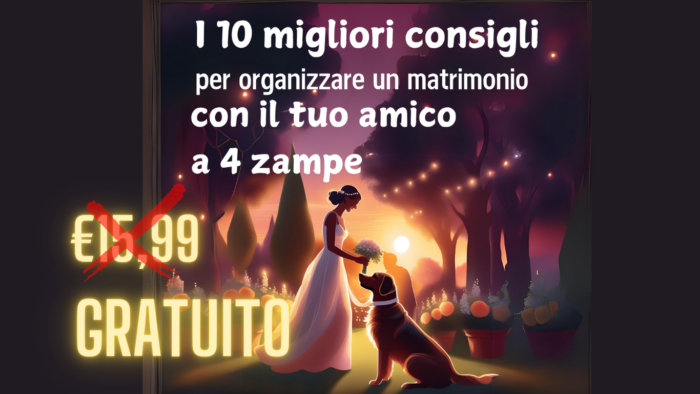 Finale 4 zampe annuncio 10