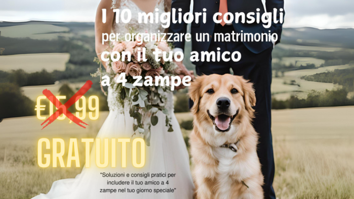 Finale 4 zampe annuncio 9